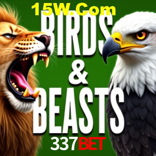 Apostas Esportivas na 337bet: Um Guia Completo